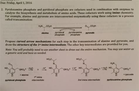 Solved Pyridoxamine phosphate and pyridoxal phosphate are | Chegg.com