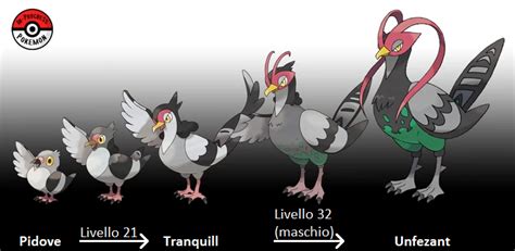 Pokemon Pidove Evolution Chart