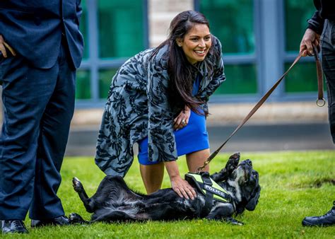 Priti Patel Height - Priti Patel : Priti patel was once regularly tipped as a future pm.