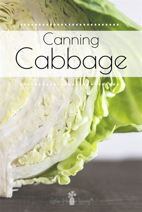 How to Make Sauerkraut | Recipe | Canning cabbage, Canning recipes, Sauerkraut