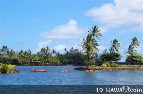 Wailua River, Kauai | To-Hawaii.com