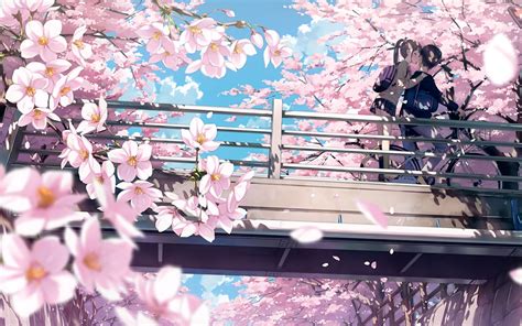 Anime Cherry Blossom 4k Wallpapers - Wallpaper Cave