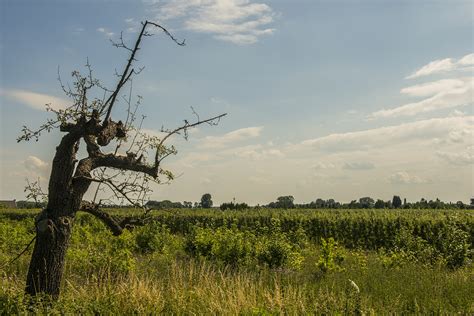 Around the Linge river, The Netherlands - Zy-co Design & Photo