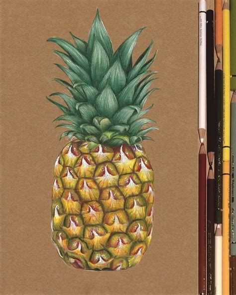 Pin by Jocelyn Renteria on Art | Fruits drawing, Pineapple drawing, Color pencil drawing