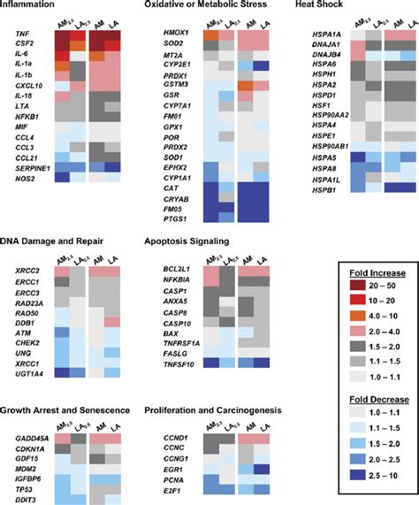 Gene expression heat maps for each of the seven stress-responsive... | Download Scientific Diagram