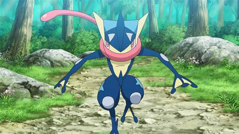 Greninja Asha | Pokémon Wiki | Fandom