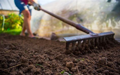 Soil Preparation For Gardening