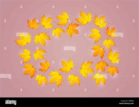 Canadian forest scene Stock Vector Images - Alamy