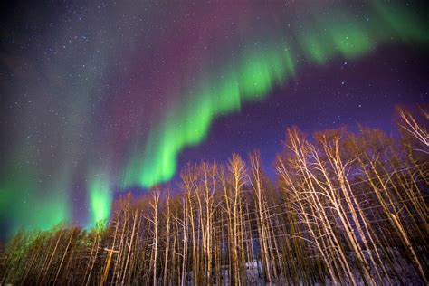 Hunting the Northern Lights in Fairbanks, Alaska - Matador Network