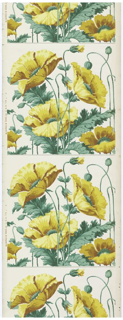 Poppy Border: Decorative with no Side Effects | Cooper Hewitt, Smithsonian Design Museum