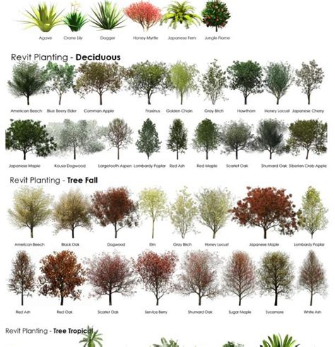 #Revit RPC Plant and Tree Reference Guide | TheRevitKid.com! - Tutorials, Tips, Products, and ...