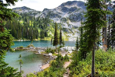 Mount Revelstoke National Park, BC Canada | Mount revelstoke national ...