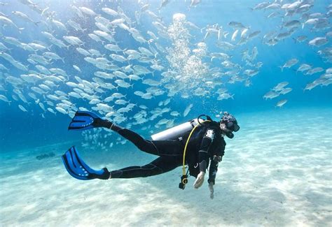 Simple Guide to Buying Your First Set of Scuba Gear