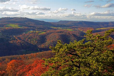 Fall foliage underway in state parks - WV MetroNews