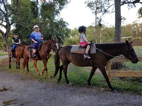 Horseback Trail Riding Florida - Sign Up Today | Pink Flamingo Stables