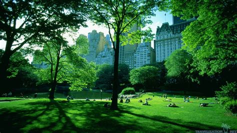 New York Summer Central Park Wallpapers - Wallpaper Cave