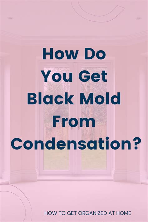 Can You Get Mold From Condensation On Windows?