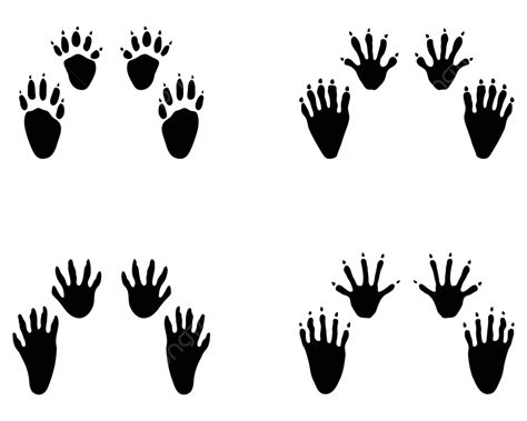 Black Footprints Of Raccoon Animal Symbol Trace Vector, Animal, Symbol ...