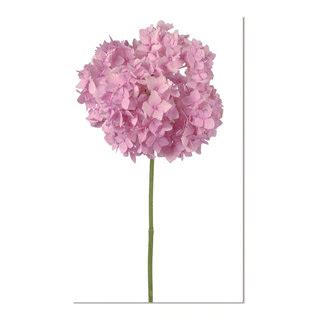 Acrylic Picture of Pink Flower, Hydrangea, 36"x24" - Contemporary - Metal Wall Art - by Bellini ...