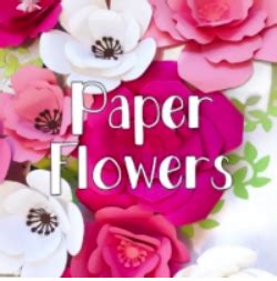 Paper Flowers | Daisy Created