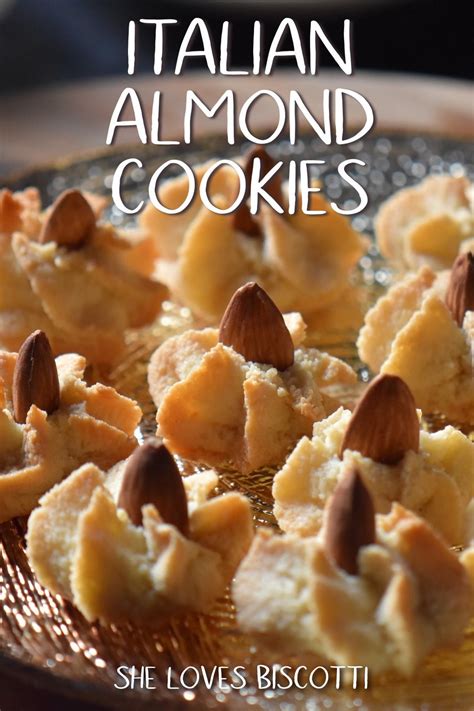 Italian Almond Cookies: A Big Batch Recipe - She Loves Biscotti