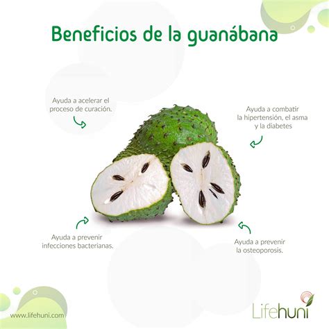 BENEFICIOS DE LA GUANÁBANA - REGULA PESO