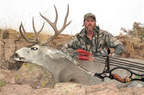 5 Best Mule Deer Hunting Tips - Game & Fish