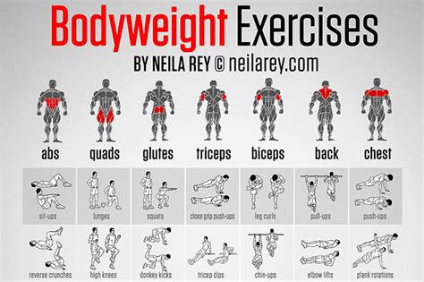 Infographic: Body Weight Exercises | RECOIL OFFGRID