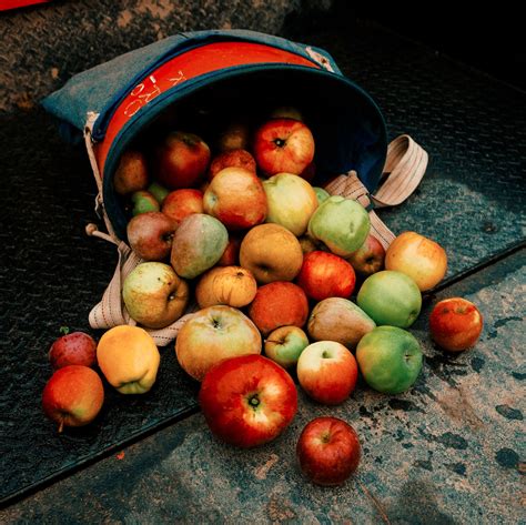 How About Them Apples? Research Orchards Chart a Fruit’s Future. - The New York Times