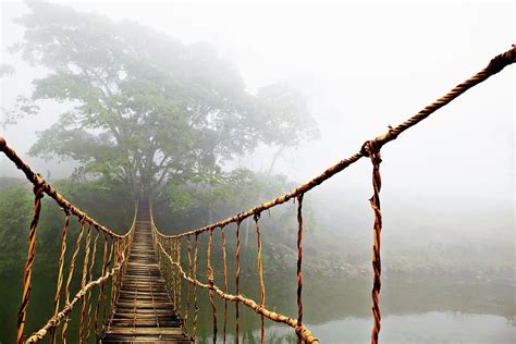 Image result for rope bridge | Pont de corde, Tete de cheval dessin, Jungle