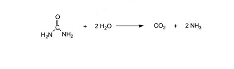 Welcome to Chem Zipper.com......: What are the hydrolysis products of urea