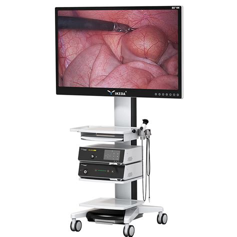 Clinical application of endoscope monitor