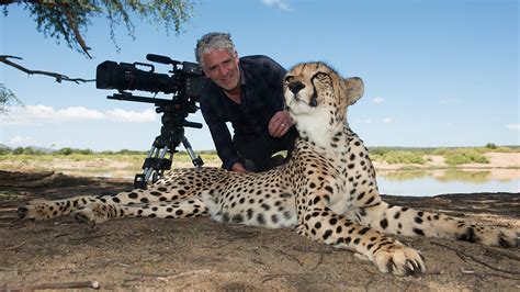 BBC Two - Animals with Cameras - Frequently Asked Questions about ...