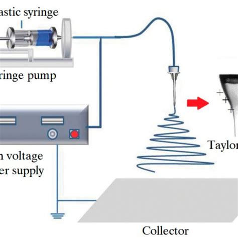 Schematic diagram of the electrochemical sensor. | Download Scientific Diagram