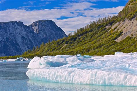 McBride Glacier Kayaking Day Trip | Glacier Bay Kayaking Tours