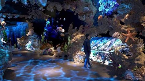 √ Jakarta Aquarium: Wahana, Lokasi, Harga Tiket 2024