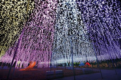 Ashikaga Flower Park has five million flower-shaped lights on display until February 2022