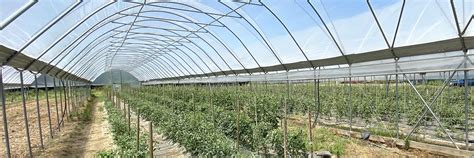 How To Attach Film To Greenhouses - Resources Hub - Resources