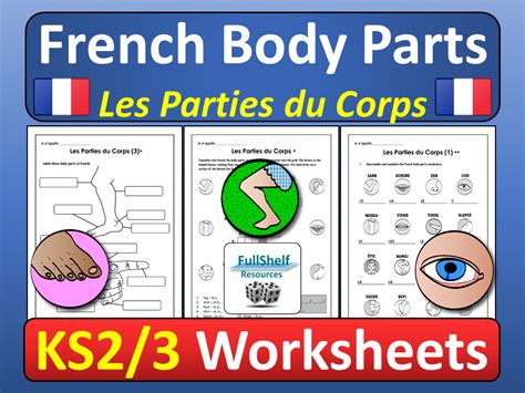 Primary French resources: parts of the body