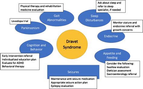 Dravet Syndrome Treatment Market is Projected to Showcase Significant Growth | Biocodex ...