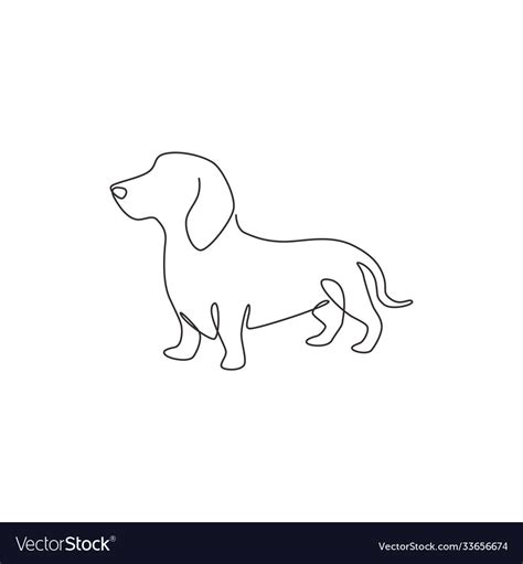 Single continuous line drawing cute dachshund Vector Image