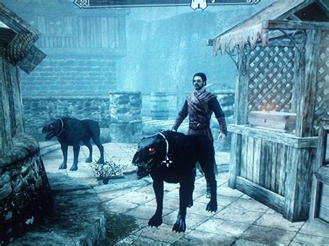 Just ran into a weird glitch. Does anyone know what causes this? : skyrim