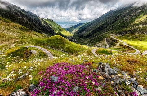 Carpathian Mountains wildlife location in Poland, Europe | Wildlife Worldwide