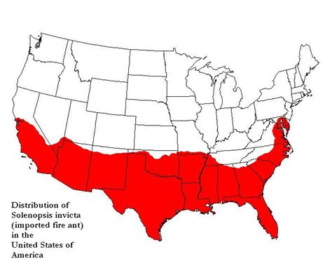 Worlds of Fascination: Invasive Red Fire Ants in the USA