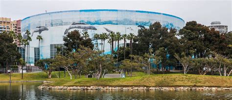 Removing Long Beach Arena for Angels stadium development is discussed • Long Beach Post News