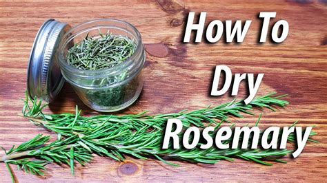 How To Dry Rosemary (2019) Four Different Ways! - YouTube