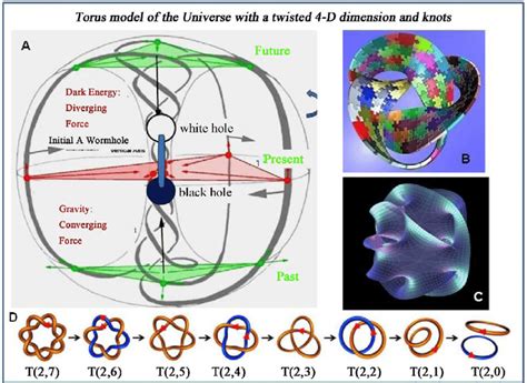 (A) Torus as a dynamic model for the recreation (rebirth) of our... | Download Scientific Diagram