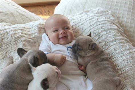 Puppies & Babies—The Cuddle Factor!