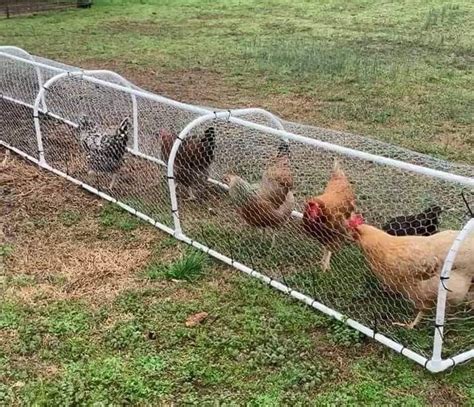 DIY Chicken Tunnel Ideas - The Happy Chicken Coop