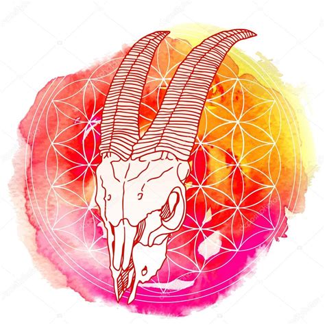 Animal skull sacred geometry — Stock Vector © mazeina #109946848